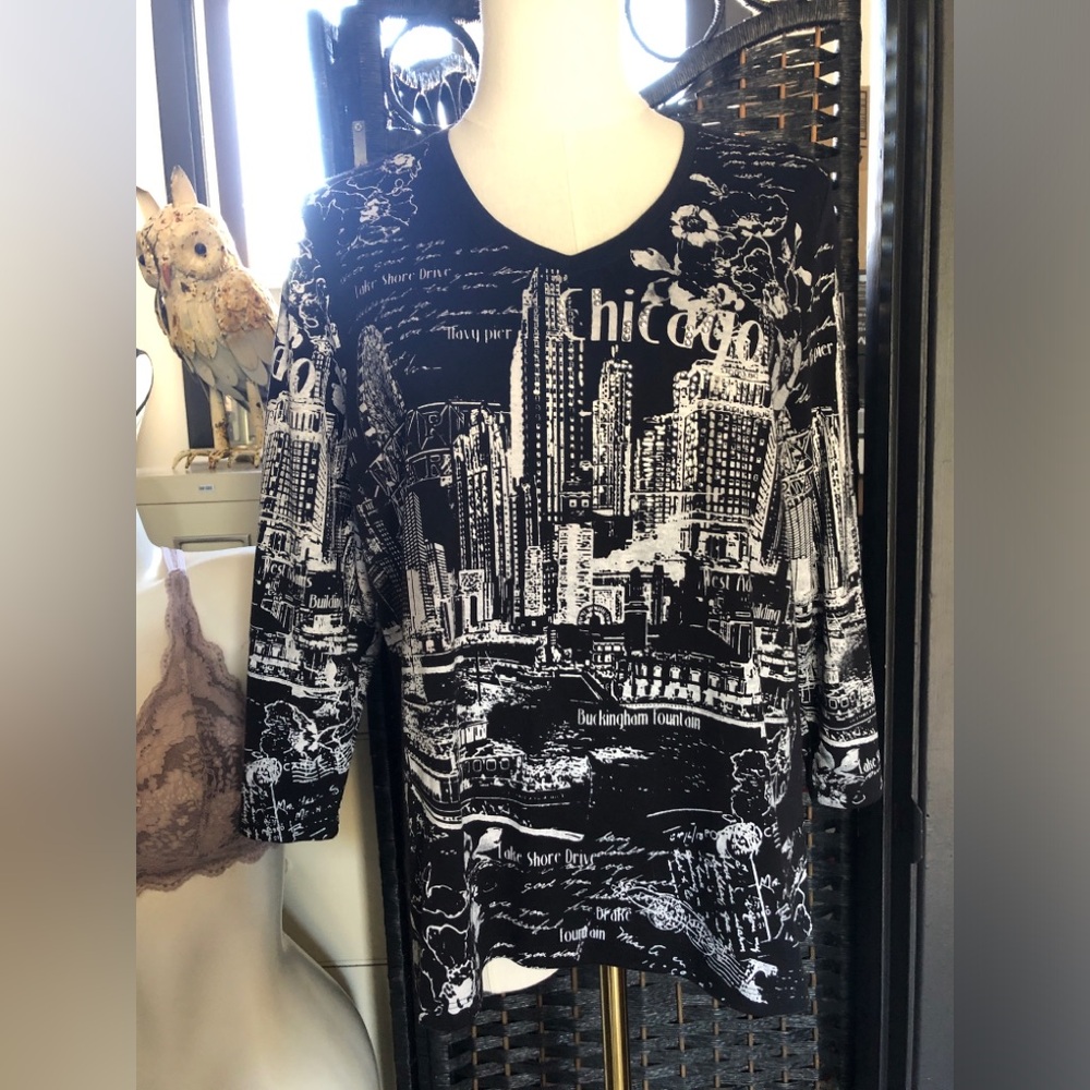 Black & White Chicago Graphic V-Neck Women’s Top
Alia
Size PL Petite Large
EUC